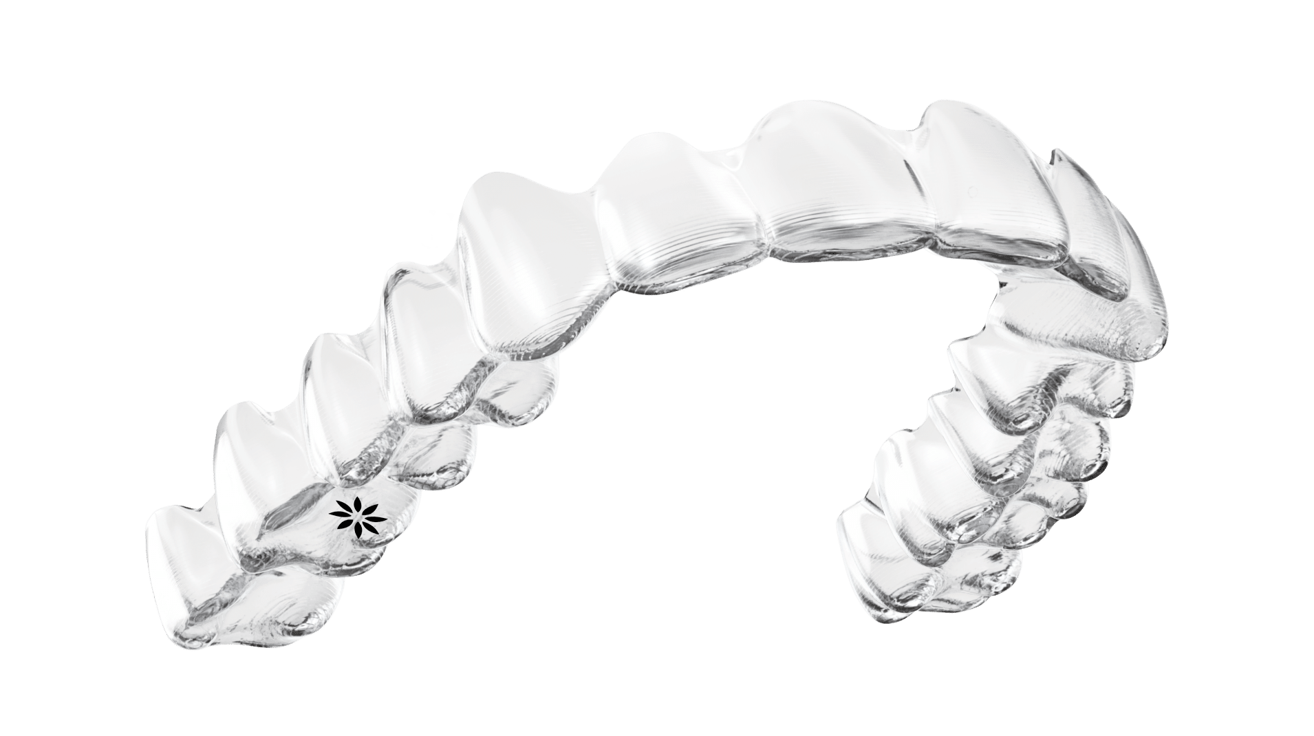 Types of Braces Right For You  Dr. Floreani, O'Toole & Dool